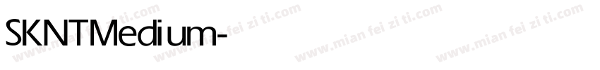 SKNT Medium字体转换